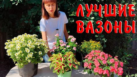 Как ухаживать за растениями в вазонах