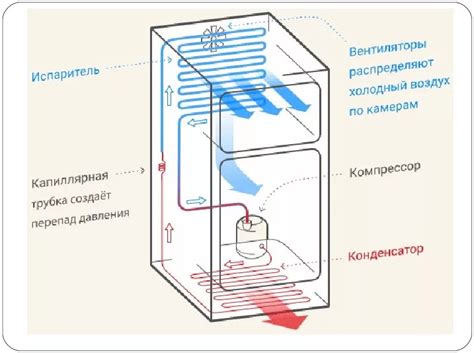 Как функционирует устройство для удерживания воздуха во время плавания?