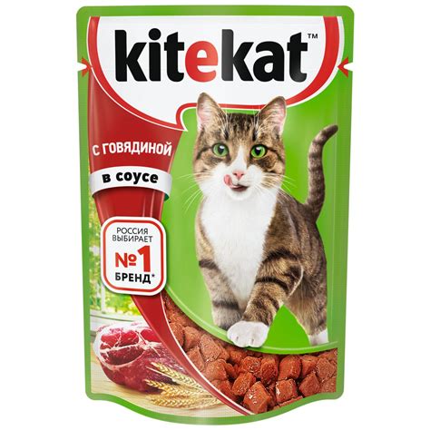 Качество корма для кошек
