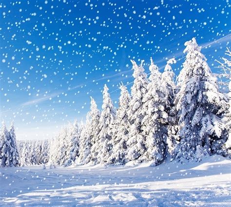 Кимвол зимнего пейзажа: фото и видео Архыза в декабре