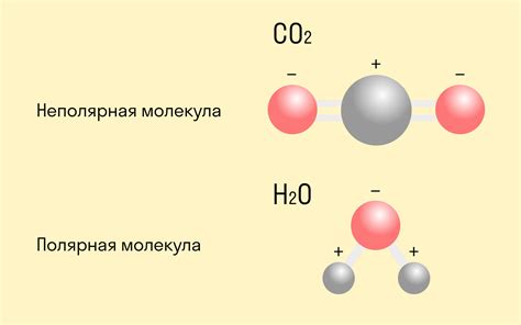 Ковалентная связь: определение и свойства