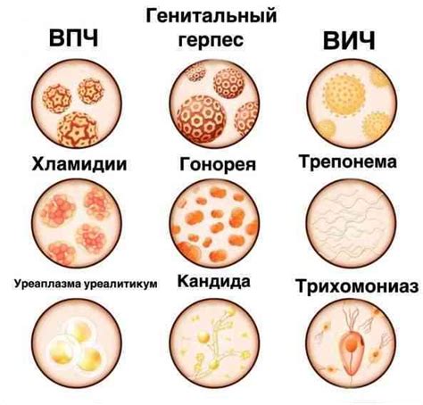 Кожные инфекции и воспаления