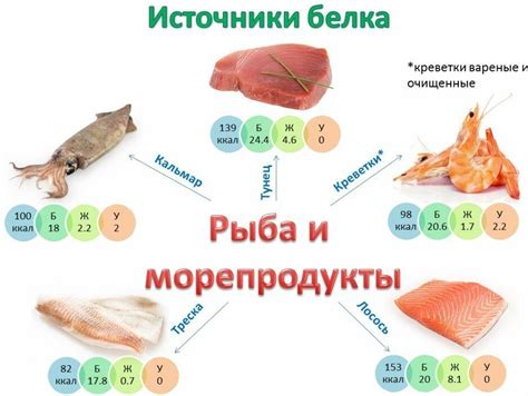 Количество белка в огурцах