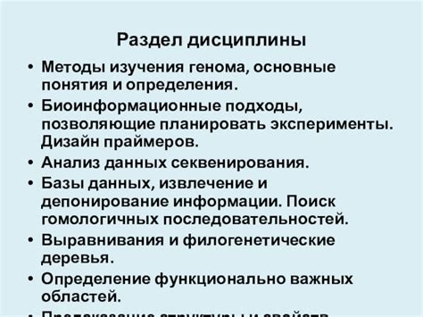 Компьютерные методы анализа: инновационные подходы к исследованию грамматических характеристик русских слов