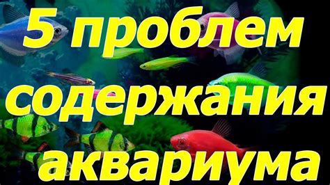 Контроль влажности при содержании аквариума