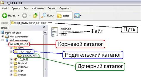 Корневой каталог: определение и назначение