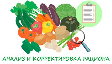 Корректировка рациона и режима питания