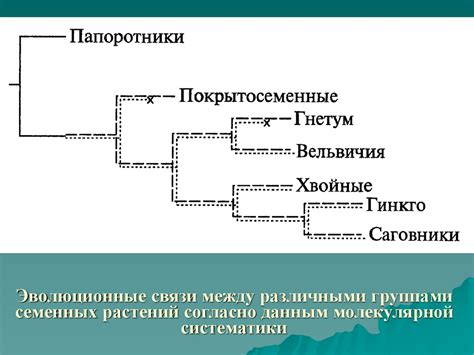 Кроссопыление: связи между различными видами растений