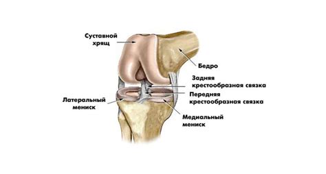 Лечение поражения