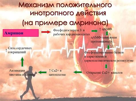 Лечение сердечной недостаточности: основные методы и подходы