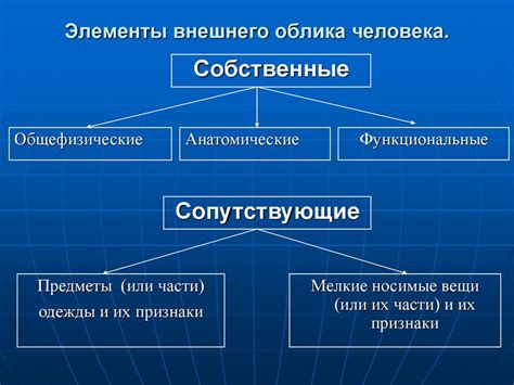 Магические превращения: эволюция внешнего облика и функций поросли