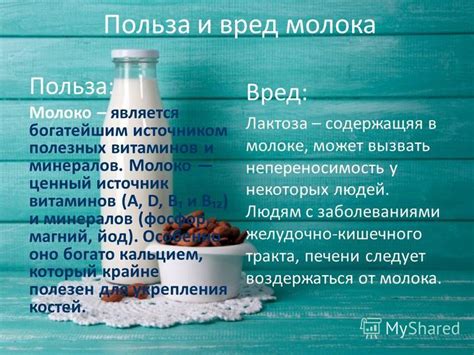 Мангольд как ценный источник витаминов и минералов