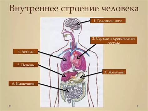 Материал корпуса и внутренние структуры