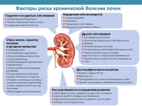 Медицинские факторы, связанные с появлением оранжевой мочи: что может говорить о заболеваниях