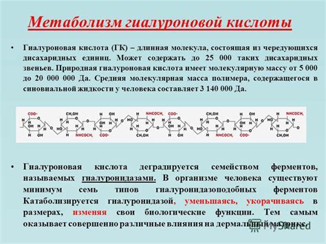 Метаболизм гиалуроновой кислоты