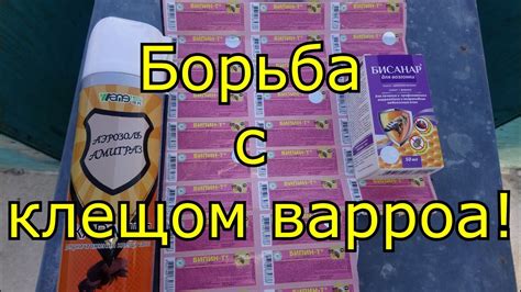 Методы борьбы с чесоточным клещом