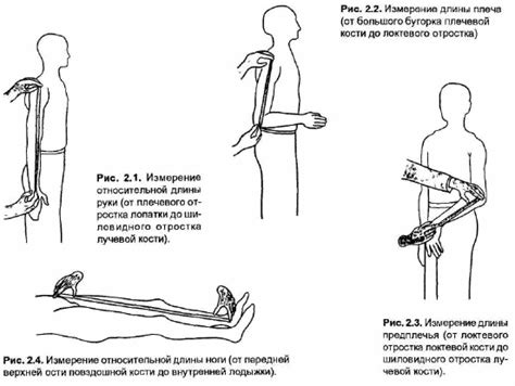 Методы измерения длины верхней конечности
