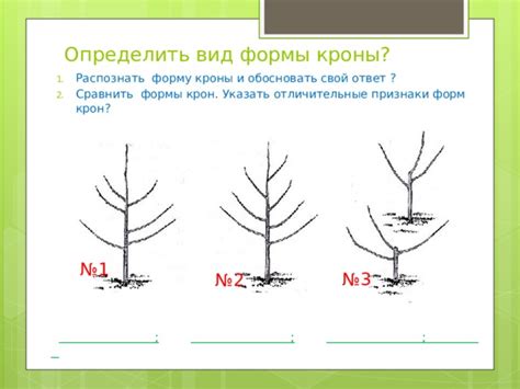 Методы и признаки сомкнутости кроны