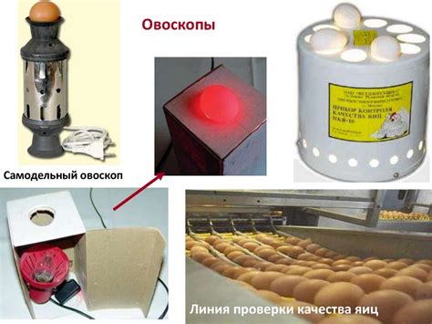 Метод определения свежести яйца с помощью фаянсового стакана