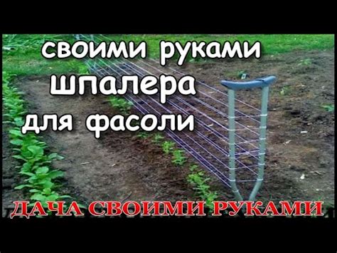 Метод установки горизонтальной опоры для фасоли