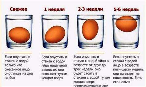 Метод 1: оценка свежести яйца при помощи воды