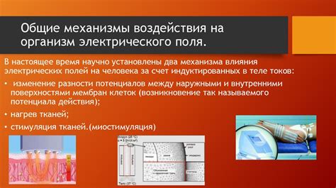 Механизмы воздействия положительных чувств на организм