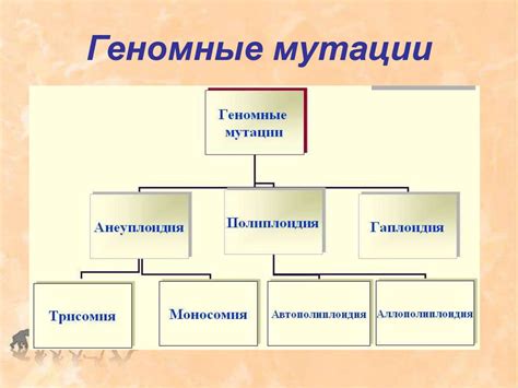 Механизмы генетической изменчивости