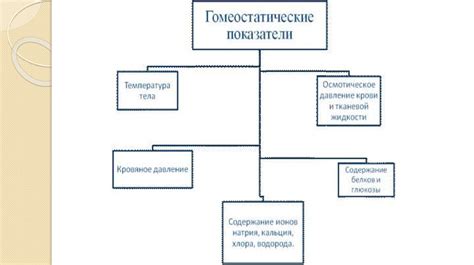 Механизмы поддержания правопорядка