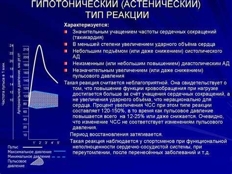 Механизм воздействия снотворных на работу сердечно-сосудистой системы