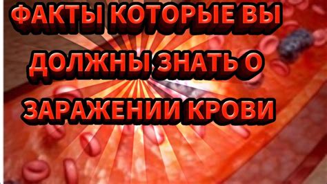 Мифы о заражении крови