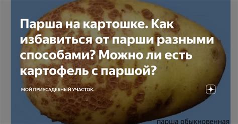 Мнение специалистов о картошке с паршой