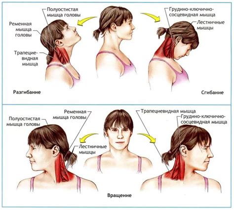 Напряжение в шейных мышцах