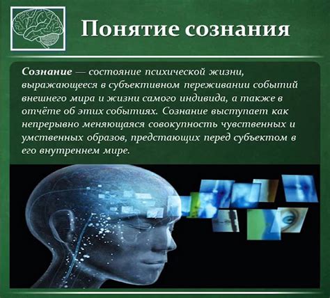 Нарния: понятие в психологии