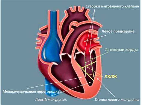 Нарушение реполяризации миокарда левого желудочка