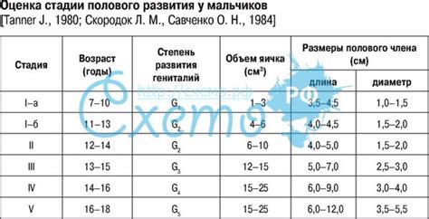 Наследственность размера полового органа