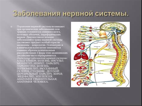 Научные данные о нервной системе инфузорий