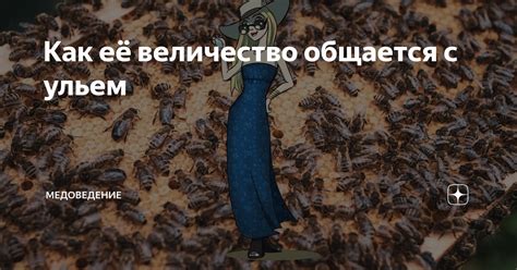 Неграмотное обращение с ульем