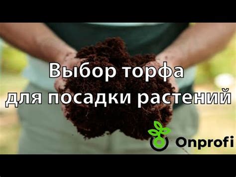 Недостатки верхового торфа для посадки молодых растений