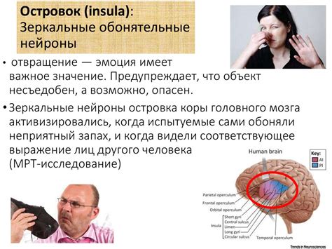 Нейробиологические аспекты психопатии