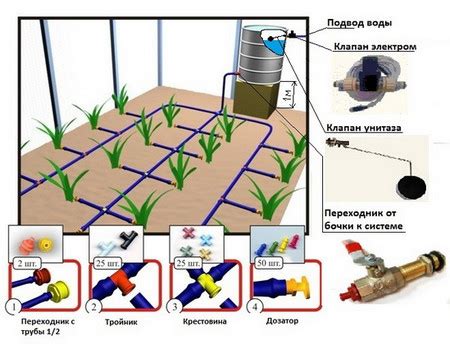 Необходимость полива и освещения