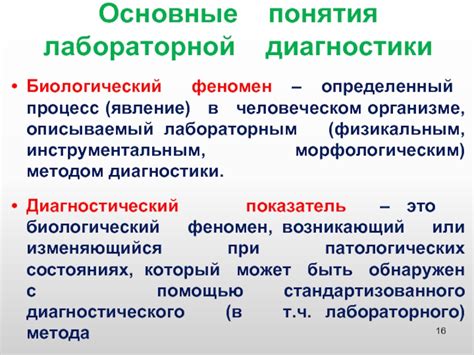 Неотения: основные понятия и проявления в человеческом организме