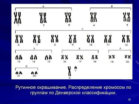 Нерегулярное распределение хромосом