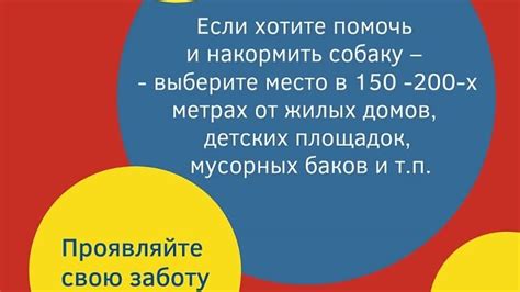 Не прикармливайте самостоятельно