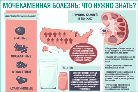 Нормализация мочеиспускания и профилактика мочекаменной болезни