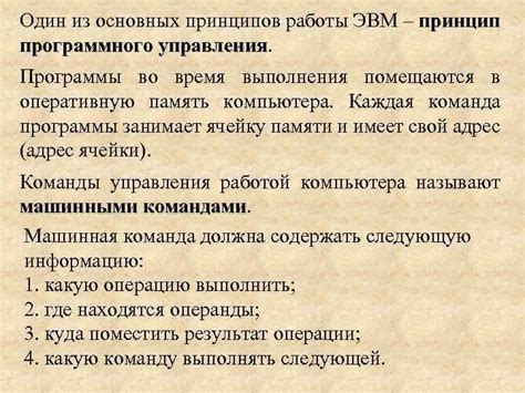 ООО: описание структуры и принципов работы