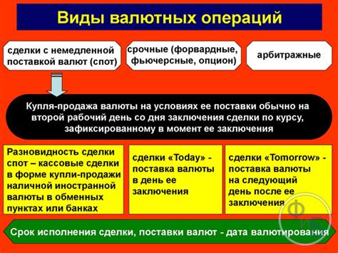 Обзор видов сушек на рынке