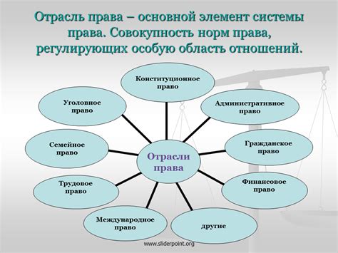 Область применения отрасли права в современном обществе