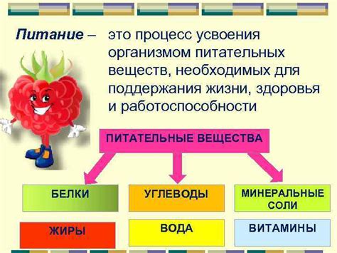 Облегчение усвоения питательных веществ