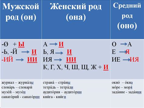 Образование форм множественного числа