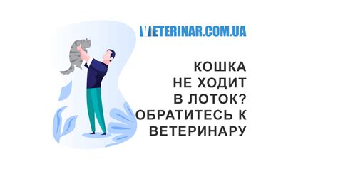 Обратитесь за помощью к ветеринару при необходимости